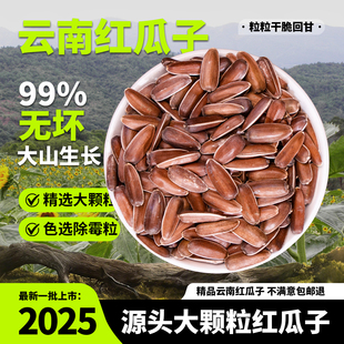 云南红瓜子生的特级无霉晋宁特产水果瓜子回甜糯香原味新货葵花籽