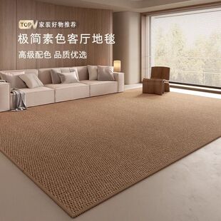 仿剑麻客厅地毯纯色防水高级感拍照沙发复古菠萝圈床边毯家用卧室