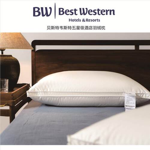 出口美国外Best Western枕头枕芯贝斯特韦斯特酒店枕鹅绒枕羽绒枕