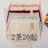 W017小兰裙波浪磨毛仿羊绒暖绒中腰女士内裤 包臀蕾丝大弹力厚短裤