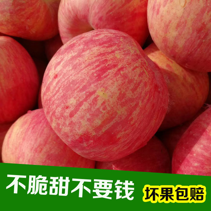 邱县品质商城苹果app下【加◆威信Q同号:495