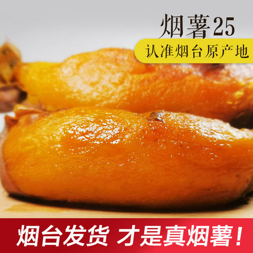 农科院地瓜山东烟薯25号