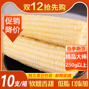 白糯玉米10支真空袋装新鲜即食非东北黏玉米棒低脂0添加整箱苞谷