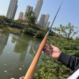威武彩钛甲鱼枪一体手把团鱼竿打鳖挂龟杆甲鱼竿带顶中过线无盘