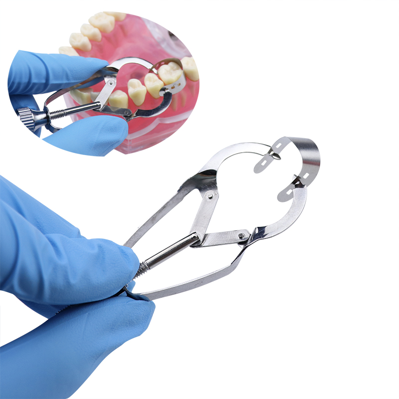 牙科不锈钢成型夹正畸钳式补牙豆瓣成型片夹成形夹可高温消毒包邮