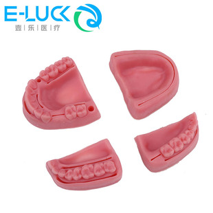 牙科缝合练习模型 医学生用品缝针仿真口腔模块手术训练模型 包邮