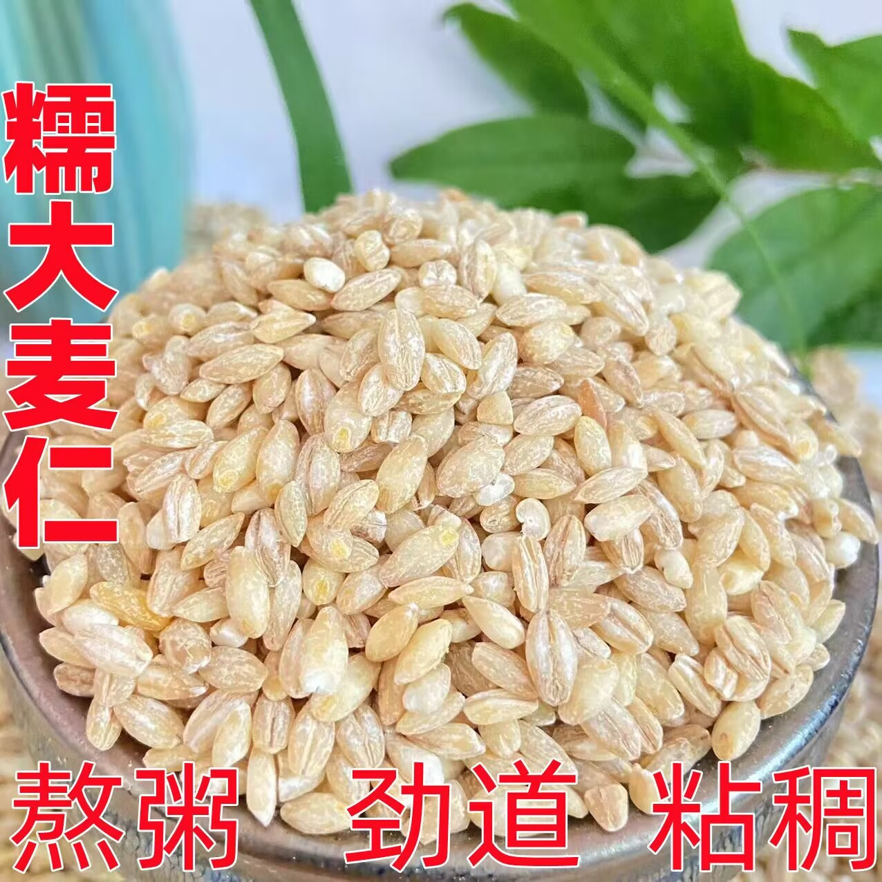 新货麦仁米农家新鲜5斤大麦仁煮粥去皮麦仁大麦米八宝粥原料杂粮