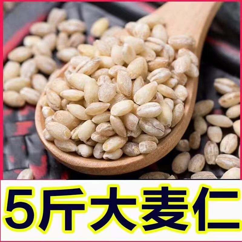 新货麦仁米农家新鲜5斤大麦仁煮粥去皮麦仁大麦米八宝粥原料杂粮