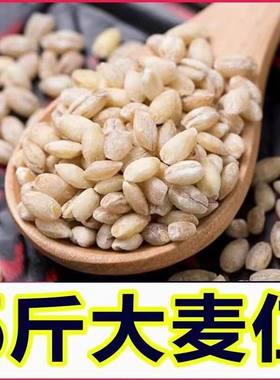 新货麦仁米农家新鲜5斤大麦仁煮粥去皮麦仁大麦米八宝粥原料杂粮
