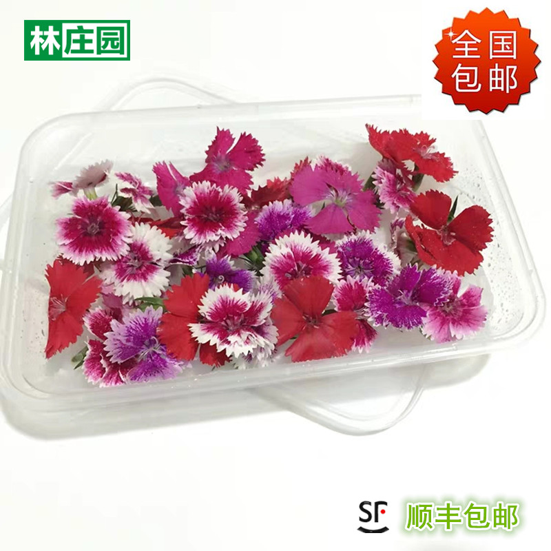林庄园石竹花 可食用鲜花盒装西餐装饰摆盘 满5盒顺丰包邮