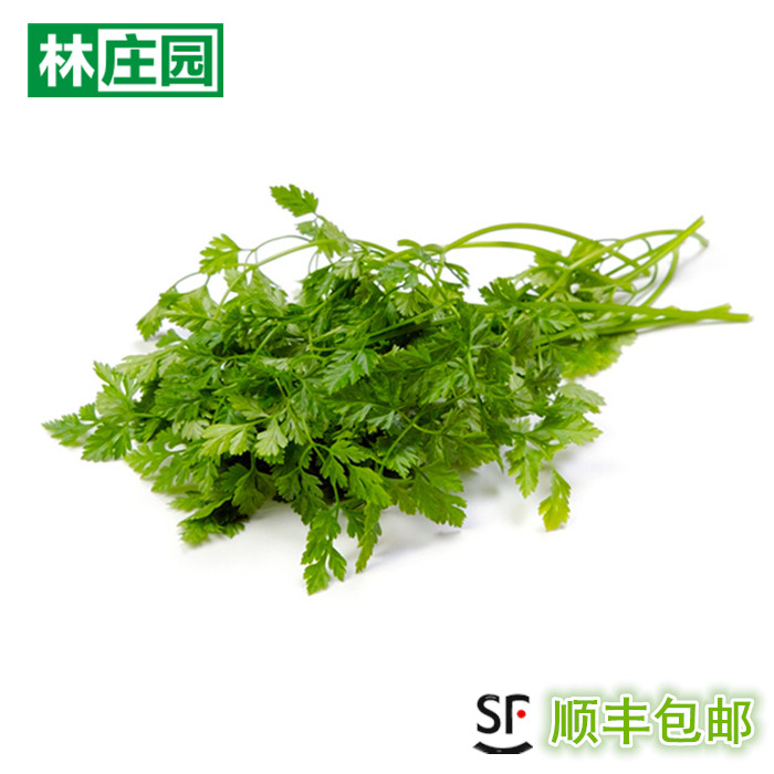 林庄园 新鲜细叶芹 香料蔬菜 雪维菜 西餐香料 意大利欧芹 100g