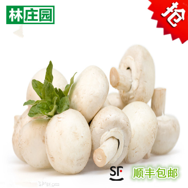 林庄园口蘑500g 蘑菇白蘑菇新鲜菌类做汤美味营养丰富满5件包邮