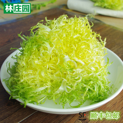 林庄园黄心苦叶生菜500g 新鲜时鲜蔬菜沙拉江浙沪满任5件包邮