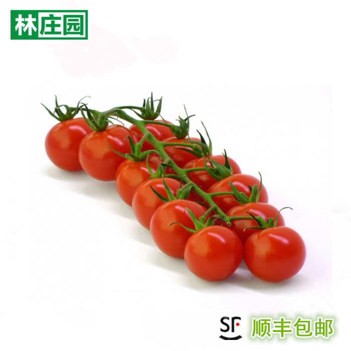 林庄园串红番茄500g 串番茄其它