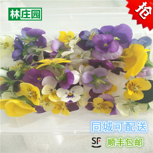 新鲜可食用三色堇满5盒包邮