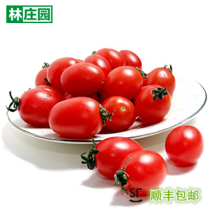 林庄园圣女果500g 红小番茄色拉沙拉新鲜满任5件顺丰包邮