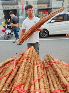 铁棍山药怀山药河南焦作温县山药