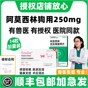 阿莫西林克拉维酸钾片猫宠物速消诺炎片250mg狗狗消炎药皮肤泌尿