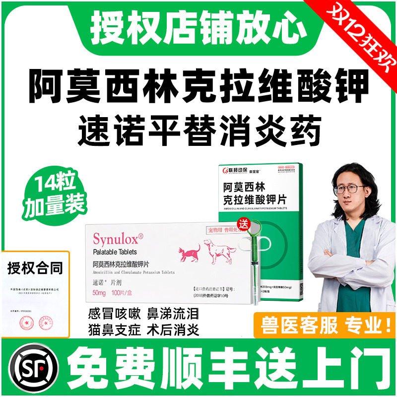 顺丰上门|阿莫西林克拉维酸钾猫