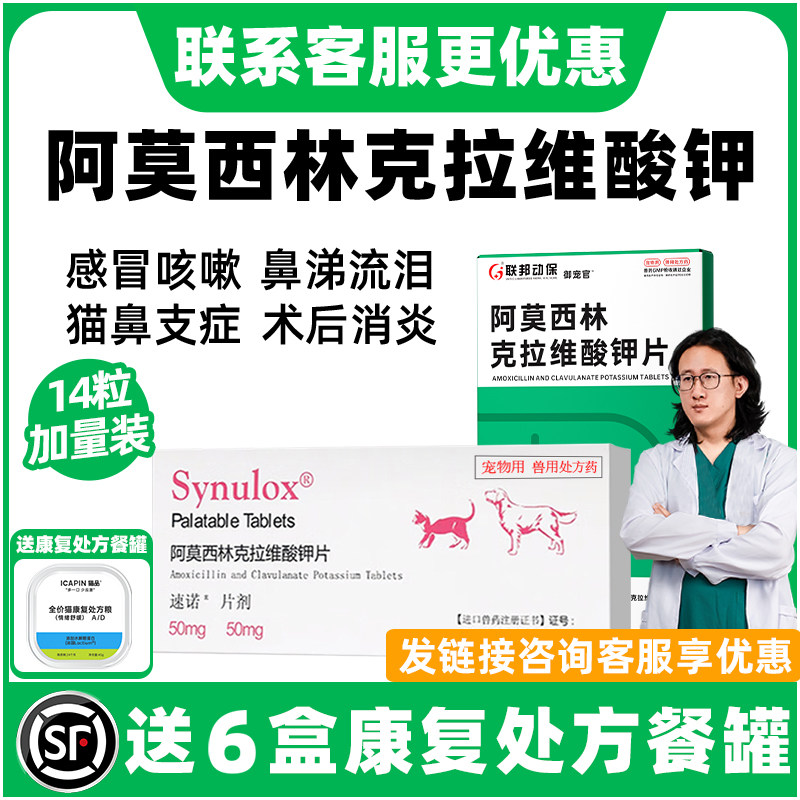 阿莫西林克拉维酸钾片猫宠物狗狗感冒药鼻支喷嚏流涕猫鼻支消炎片