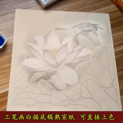 工笔画白描底稿初学者临摹练习 水彩花鸟虫鱼国画勾线熟宣纸 包邮