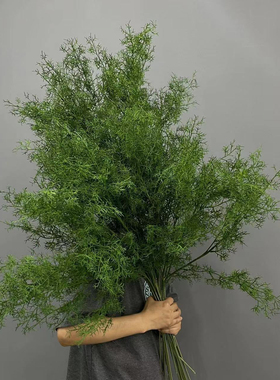 婚礼仿真天门冬珊瑚草千层金松针仿真绿植金鱼草婚礼堂路引自然系