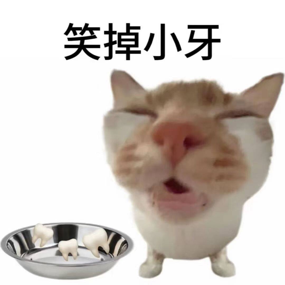 仅店铺会员拍 6月彩妆 货损大杂烩 发货后不退不换