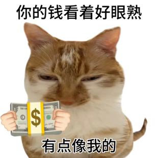仅店铺会员拍 7月韩系眼妆彩妆 货损大杂烩 发货后不退不换