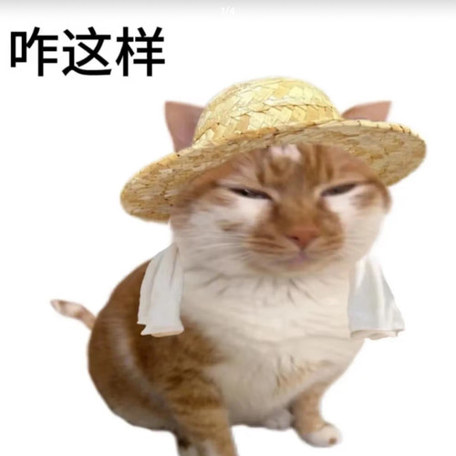 仅店铺会员拍 4月韩系护肤 货损大杂烩 发货后不退不换