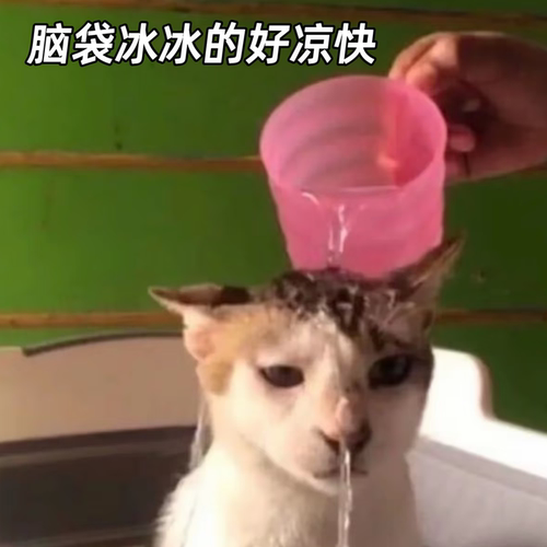 乱卖合集-赫妍黑金气垫赫拉防晒霜定妆防晒霜口红唇膏洁面