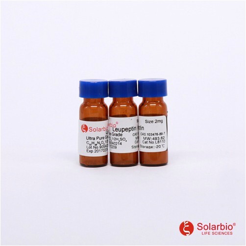 科研实验用品 亮抑酶肽 亮肽素 Leupeptin CAS?：103476-89-7