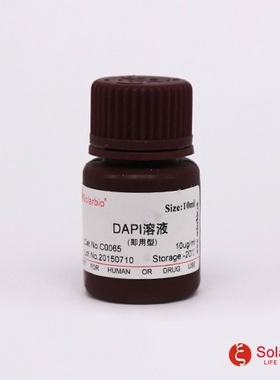 DAPI溶液(即用型) 10ug/ml 直接使用工作液 10ml