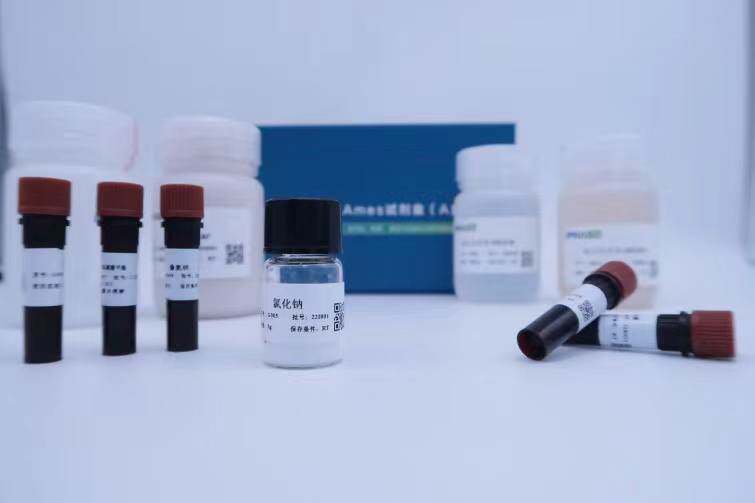 遗传毒性 Ames 试剂盒(AMES试验)  TA97a  TA98  TA100  TA1535