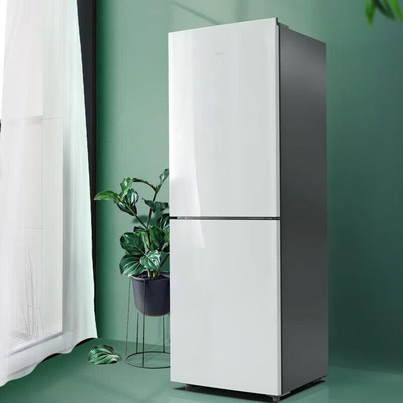 T.CL BCD-186C 186升家用双门冰箱节能养鲜 抗菌环保内胆 闪白银