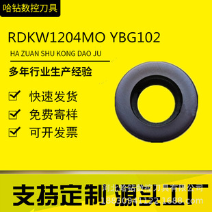 株洲圆铣刀片RDKW1204MO YBG102 YBG202数控刀粒R6合金刀具不锈钢