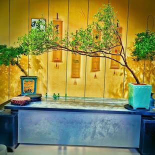 海岛七字飘枝栀子花春花老桩茶室庭院鱼缸造景绿植盆景栽一物一拍