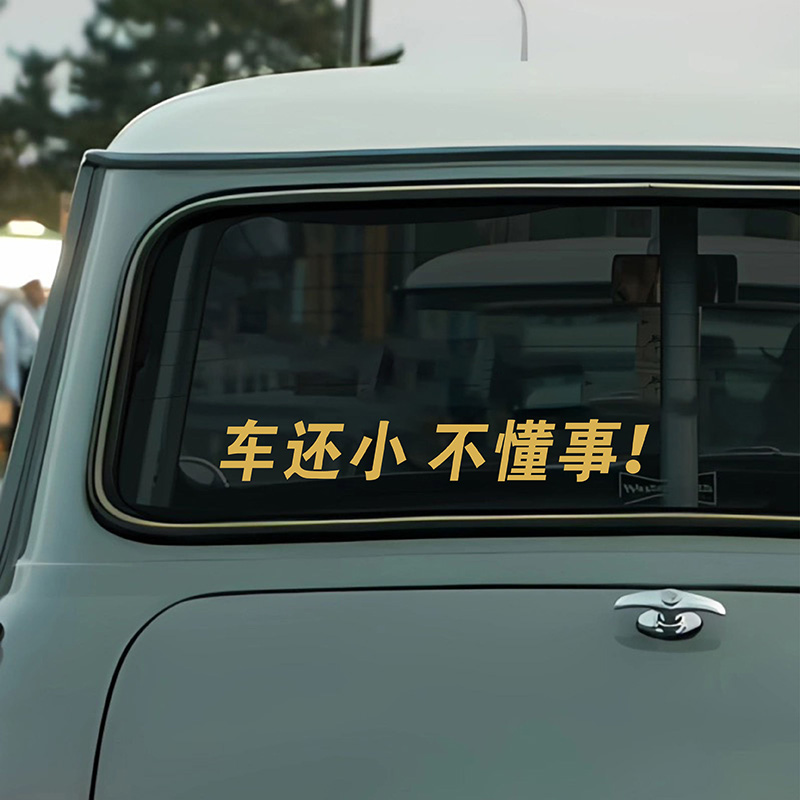 车还小不懂事搞笑趣味车贴
