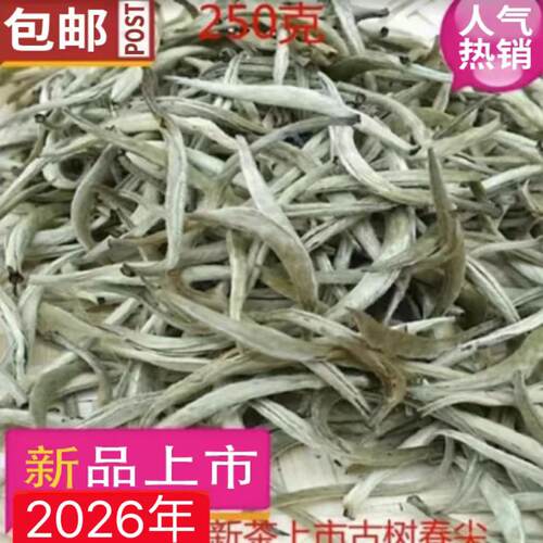 云南春茶白毫银针250克