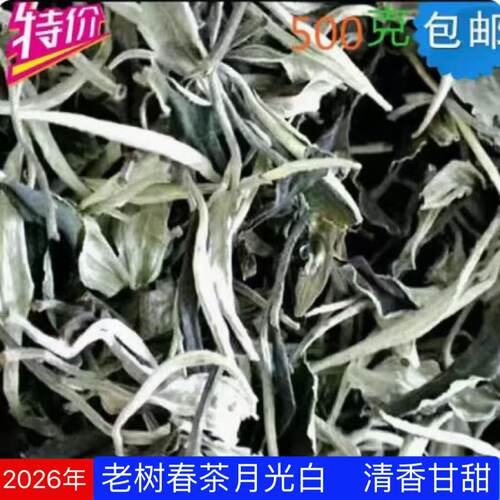 月光白茶一级当年500克