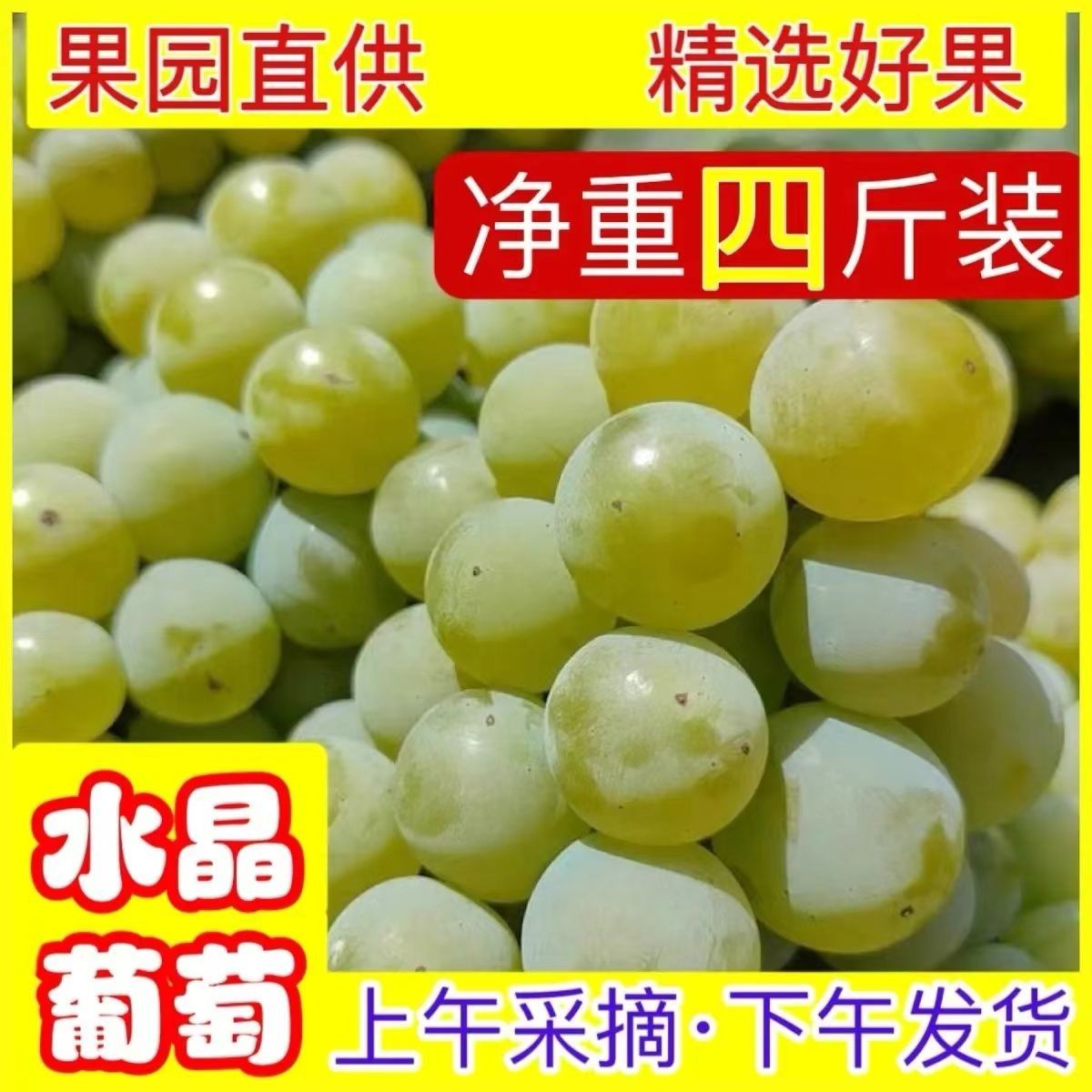 【顺丰】云南弥勒水晶葡萄新鲜香葡萄现摘土葡萄玫瑰孕妇青葡萄