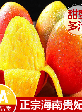 正宗海南红金龙贵妃芒芒果新鲜10斤树上熟现摘现发5大果孕妇水果