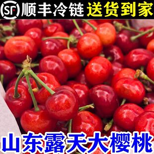 【顺丰冷链】山东大樱桃红灯酸甜可口新鲜红樱桃孕妇应季水果整箱