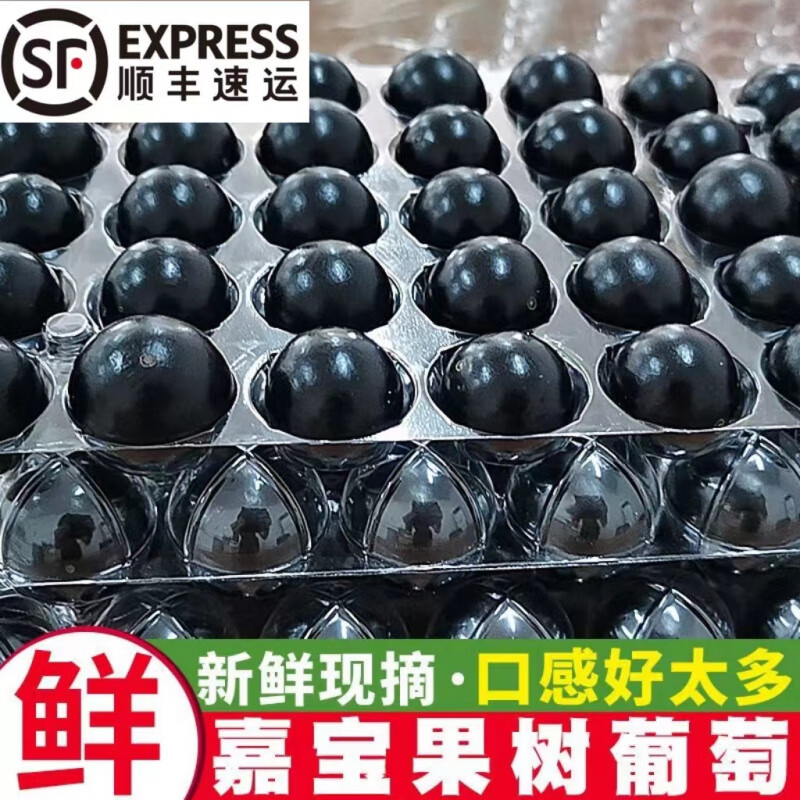 【顺丰冷链】现货福建沙巴嘉宝果树葡萄稀罕罕见孕妇水果非云南产