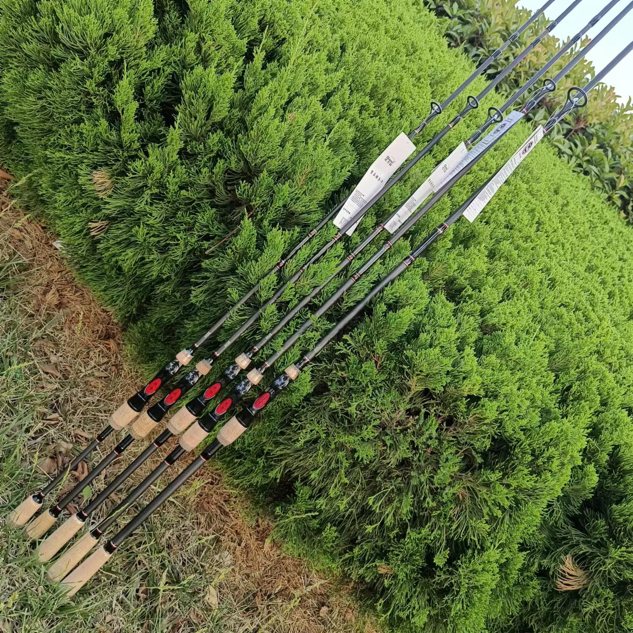优尔酷战狼全富士导环鲈鱼嘴杆