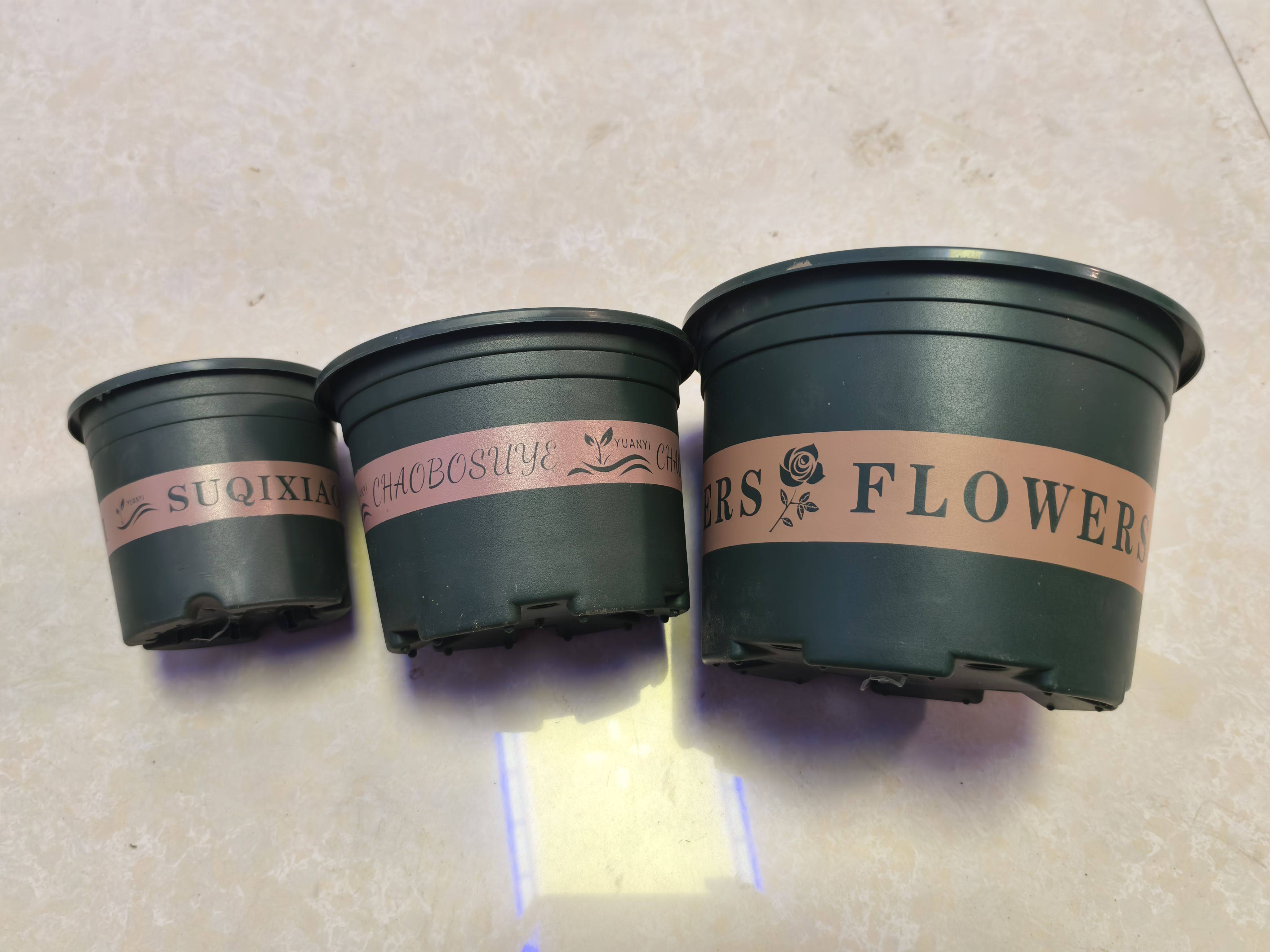 塑料花盆特价清仓批发阳台绿萝小花盆