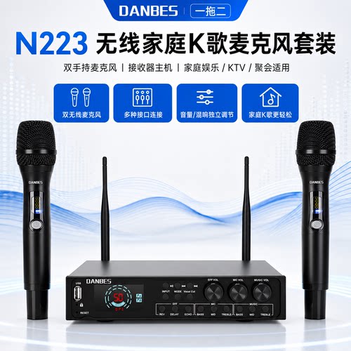N223无线麦克风2个手持动圈发射器麦克风适用于卡拉 OK、DJ 派对