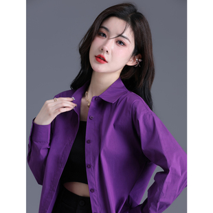 小个子紫色衬衫2025新款衬衣女设计感小众秋冬季长袖宽松