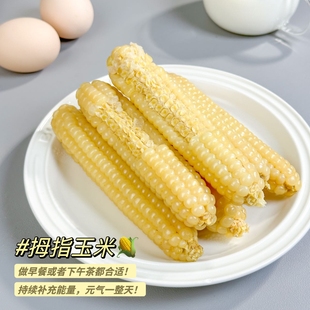 4年源头厂家西双版纳拇指小玉米香甜粘糯玉米早餐粗粮健康代餐1斤