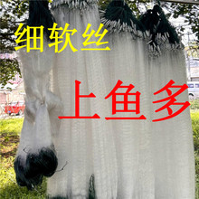 小白条鲫鱼网单层浮网沉网三层一指两指三指50米70米长拉网捕鱼网