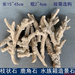 水族枝状造景石海缸三湖慈鲷造型鱼缸装饰天然精选长枝鹿角石
